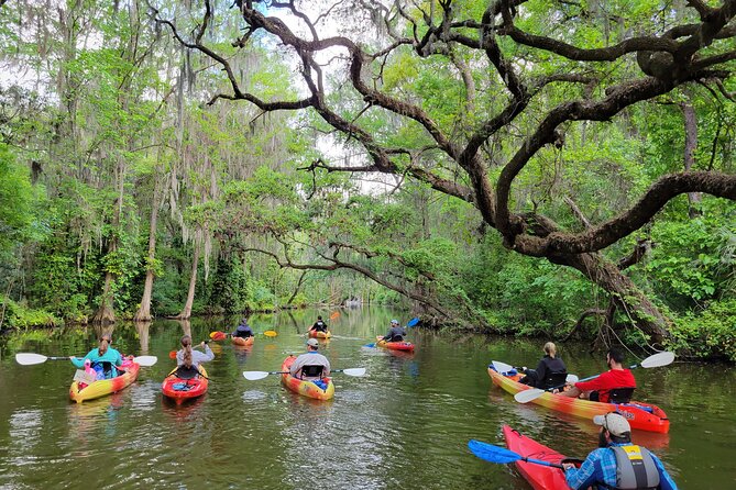 Central Florida Kayak and Paddleboard Rentals - Orlando