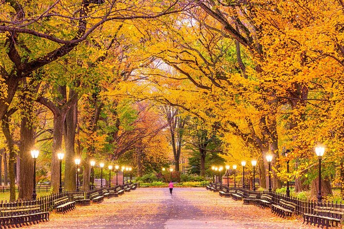Central Park Highlights Small-Group Bike Tour - Good To Know