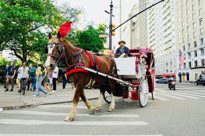 Central Park Horse and Carriage Rides - Overview of the Tour