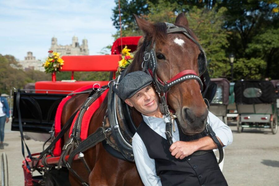 Central Park: Short Horse Carriage Ride (Up to 4 Adults) - Good To Know