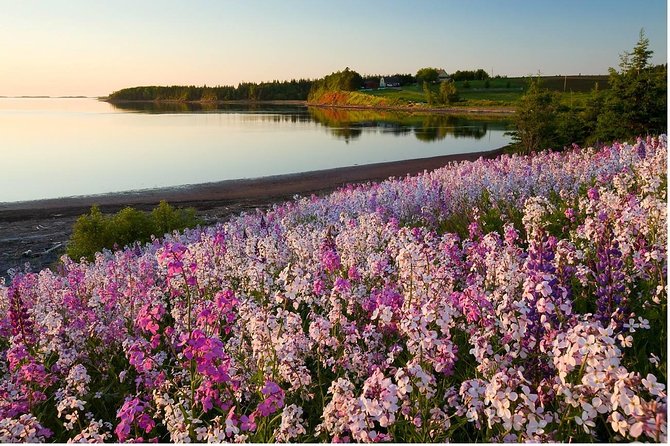 2 Best Drinking Tours In Charlottetown