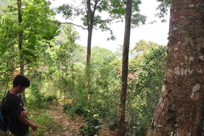 Chaesorn National Park Trekking - Good To Know