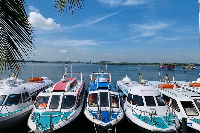 Cham Island Trip by Speed Boat Including Snorkeling From Hoi an or Da Nang - Good To Know