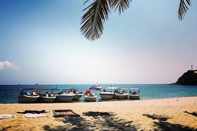 Cham Islands Day Tour From Hoi an - Good To Know