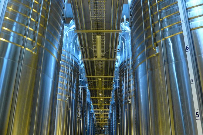 Champagne Lovers Day Tour With Private Driver - Discover Nicolas Feuillatte