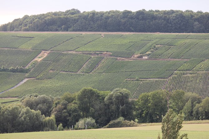 Champagne Lovers Discovery Multi Tasting Tour With Private Driver - Good To Know