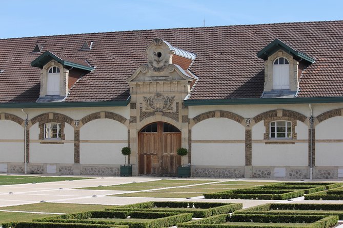 Champagne Tour With Private Driver - Ruinart & Family Vineyards
