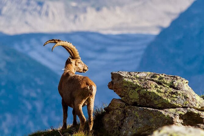 Chania Nature & Villages, White Mountains & Unique Cretan Lunch - Good To Know