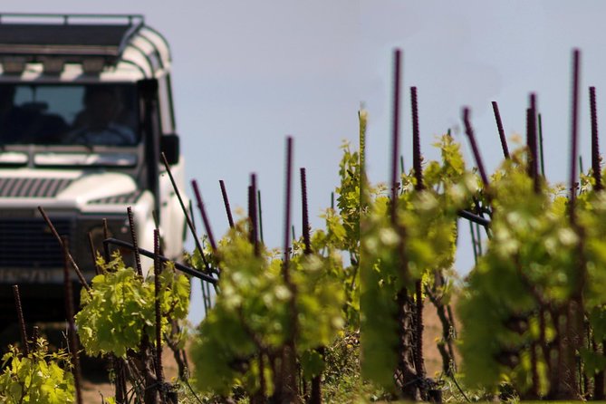 Chania Shore Excursion Vineyard and Winery Tour Half Day