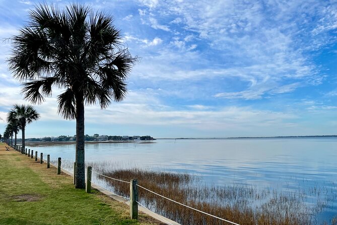 Charleston Bird Watching Tour