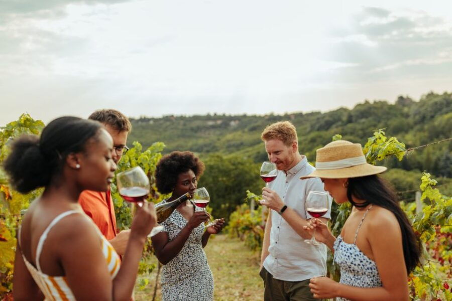 Charleston: Wadmalaw Island Wine Tasting and Tea Garden Trip - Full Tour Description
