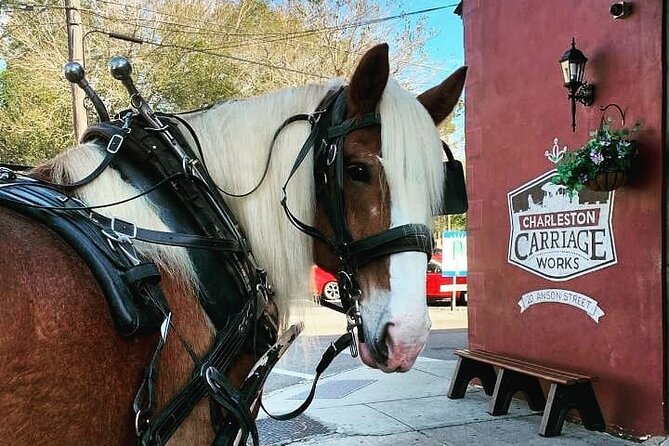 Charlestons Historic Residential Horse and Carriage Tour - Good To Know