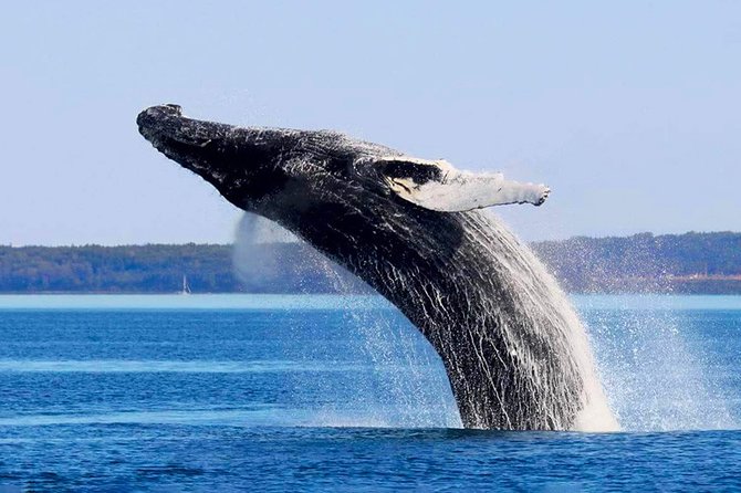 Charlevoix, Grand Canyo and Whale Watching 2 Days Tour - Good To Know