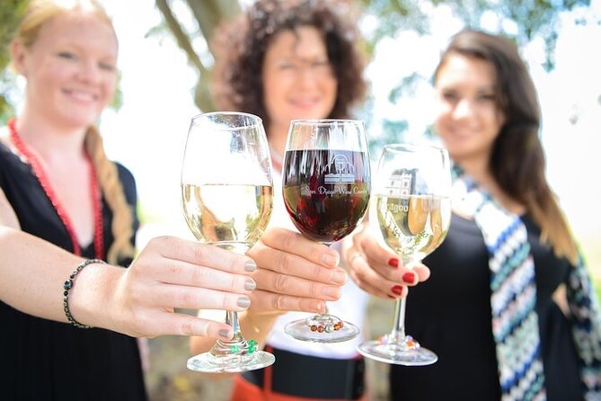 Chauffeured Vineyard Adventure to Local San Diego Vineyards