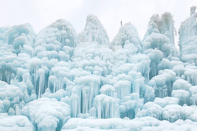 Cheongyang Alps Village and Strawberry Picking Tour in Seoul - Good To Know