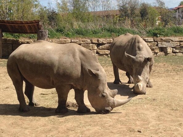 Chessington World of Adventures Independent Full Day Private Tour - Good To Know