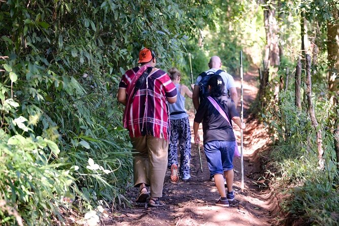 Chiang Mai Coffee Tour: Trekking to Farm, Roast and Brew Workshop