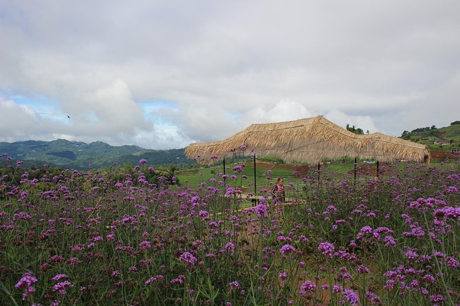 Chiang Mai Garden, Hill Tribes, and Elephants Day Out - Good To Know