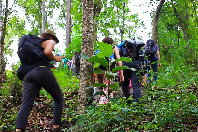 Chiang Mai Hill Tribe and Jungle Hike Private Tour - Good To Know
