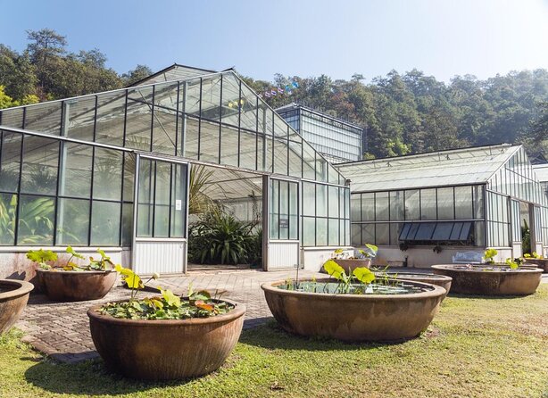 Chiang Mai Mon Jam Highlands and Pongyang Full-Day Private Tour - Good To Know