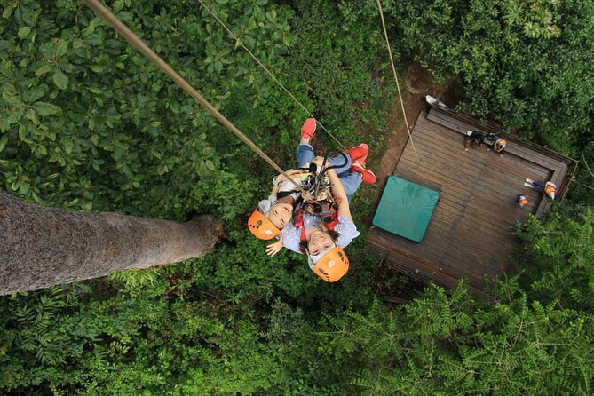 Chiang Mai Zip Line Experience - Good To Know