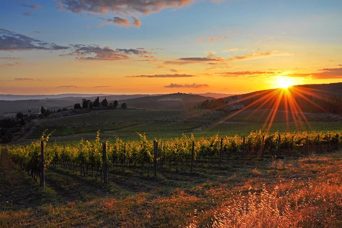 Chianti Half-Day Wine Tour in the Tuscans Hills From Pisa - Good To Know