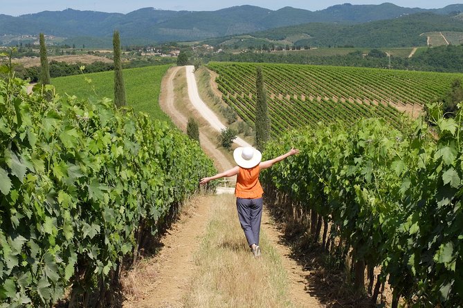 Chianti Lovers Tour- 2 Wineries and Supertuscan Small Group From Lucca