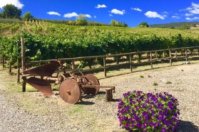 17 Best Tours In Montecatini Terme
