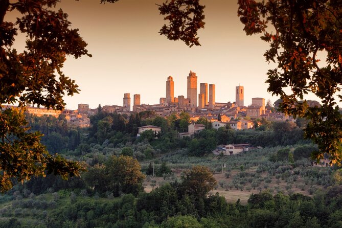 Chianti Wine Tour From Florence to San Gimignano With 2 Wineries - Good To Know