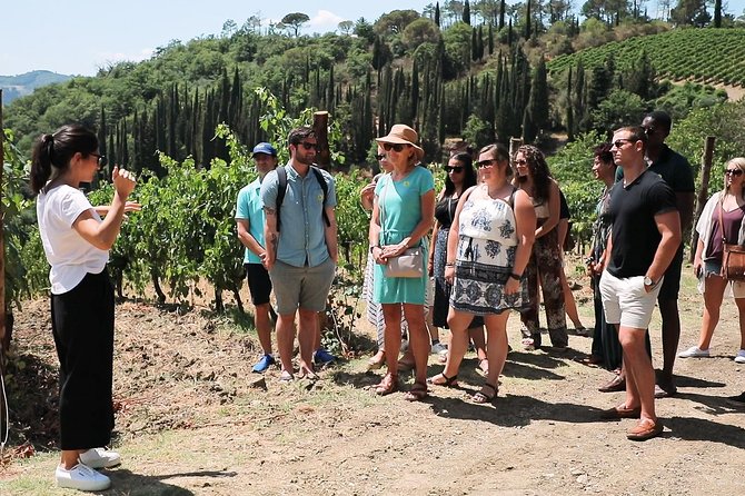 Chianti Wine Tour From Florence