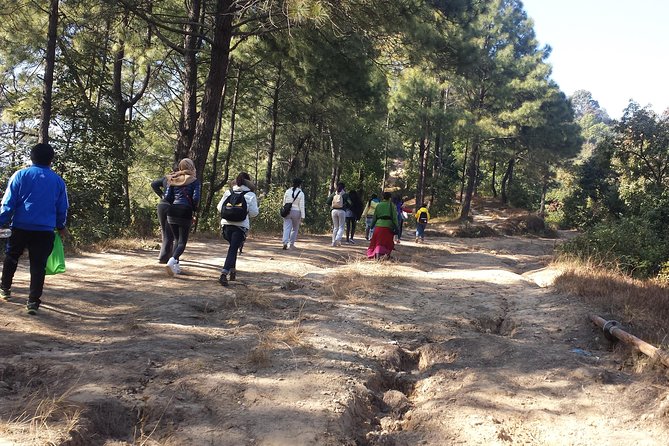 Chisapani Nagarkot Hiking - 2 Nights 3 Days (Shivapuri Nagarjun National Park) - Hiking Trail Highlights