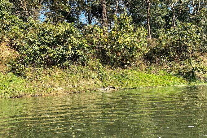 Chitwan Jungle Safari With Overnight Stay