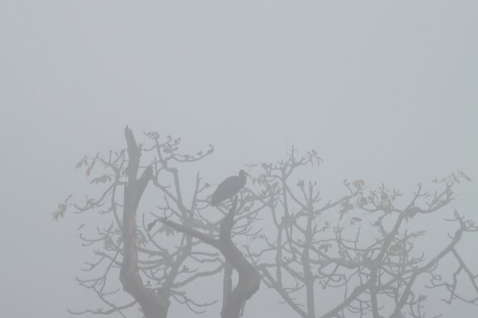 Chitwan National Park Bird Watching Untouched Side From Madi - Inclusions