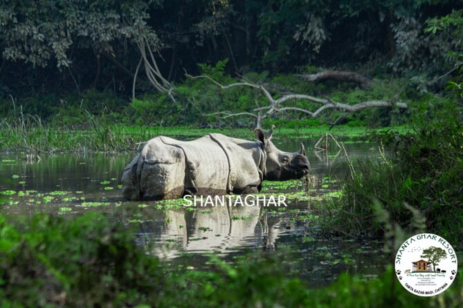 Chitwan National Park Pvt. Jeep Safari Untouched Side From Madi