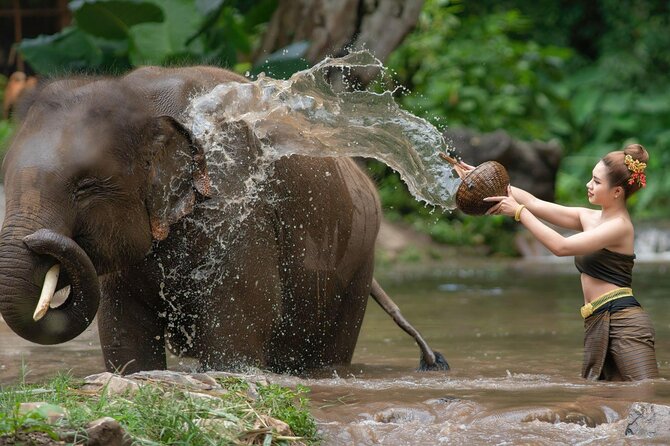 Chitwan National Park Tour - Tour Highlights