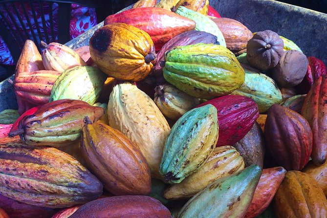 Chocolate and Cobblestones San Miguel De Allende Walking Tour