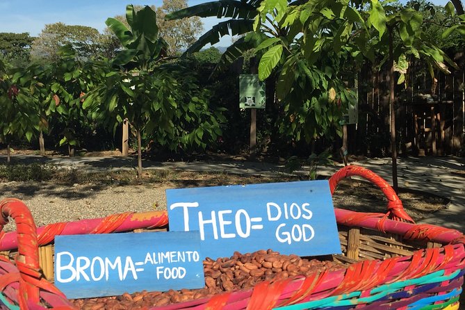 Chocolate Tour in Vallarta - Good To Know