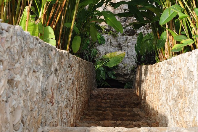 Choose Your Experience to Live in Los 7 Cenotes San Gerónimo - Good To Know