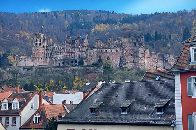 Christmas Market and Wine Tasting Tour