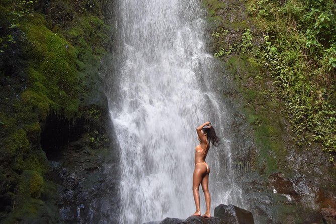 Circle Island Adventure Tour With Custom Itinerary - Good To Know