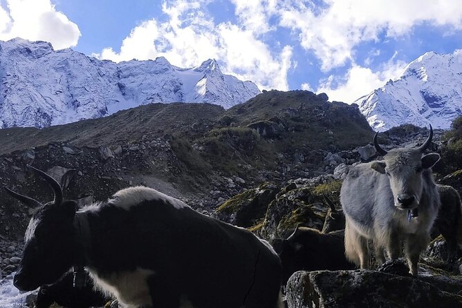 Circuit the Hidden Himalayas: A Stunning Manaslu Trek Adventure - Good To Know