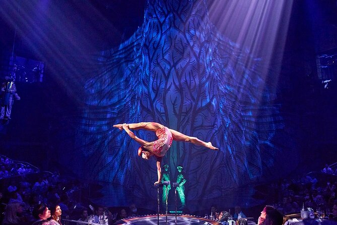 Cirque Du Soleil JOYA Performance From Playa Del Carmen - Cancun - Good To Know