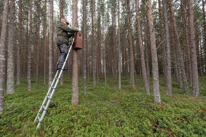 Citizen Science Monitor Owls in the Wilderness Near Tromsø