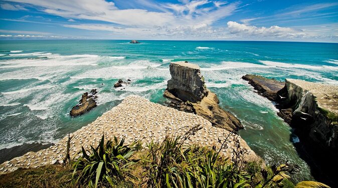 City to Surf Signature Private Tour - Good To Know