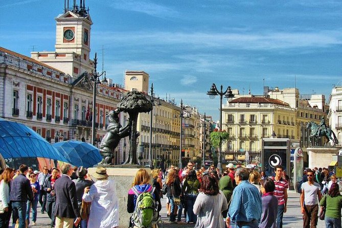 City Tours Madrid 8 Hours - Tour Highlights