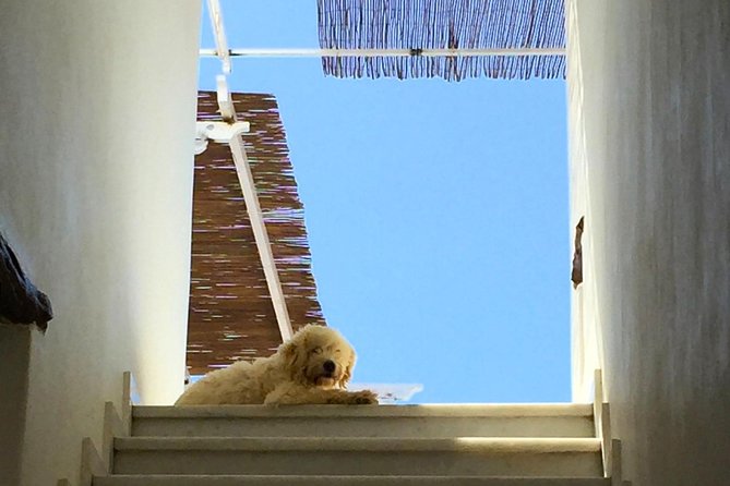 City Walk, Photo Walk Tour of Naoussa, Traditional Harbour Village of Paros - Good To Know