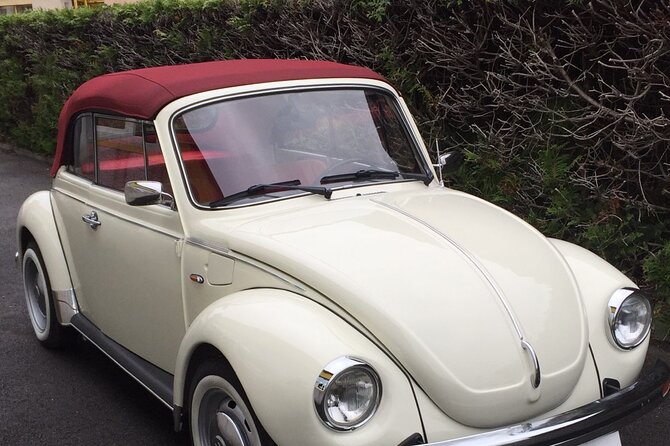 Classic Car Rental in Chantilly - Good To Know