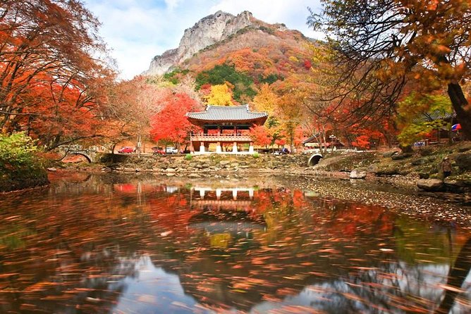 Classic Naejangsan National Park One Day Tour (Autumn Limited） - Good To Know