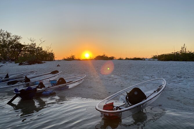 Clear Kayak Guided Tours in Naples - Good To Know