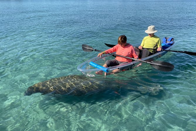 Clear Kayak Tour in Jupiter - Good To Know